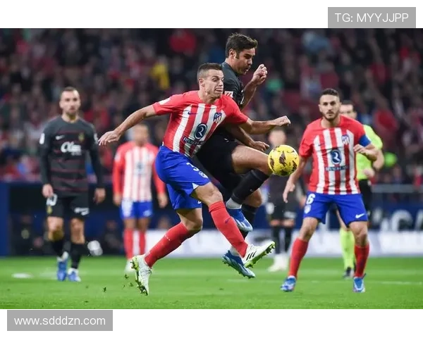 贝蒂斯战术解析：如何在竞争激烈的联赛中保持竞争力与领先优势