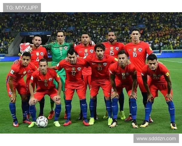 南美足球俱乐部分布呈现地域集中特征，巴西阿根廷主导格局