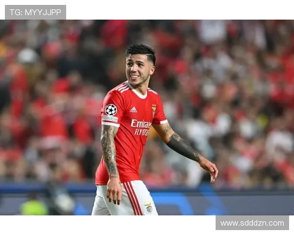 恩佐与切尔西体系适配性及中场参与度分析